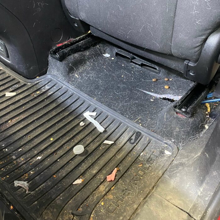 dirty back seat floor mat with animal hair